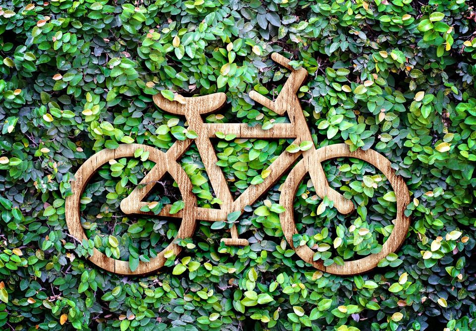 Grøn hæk cykel
